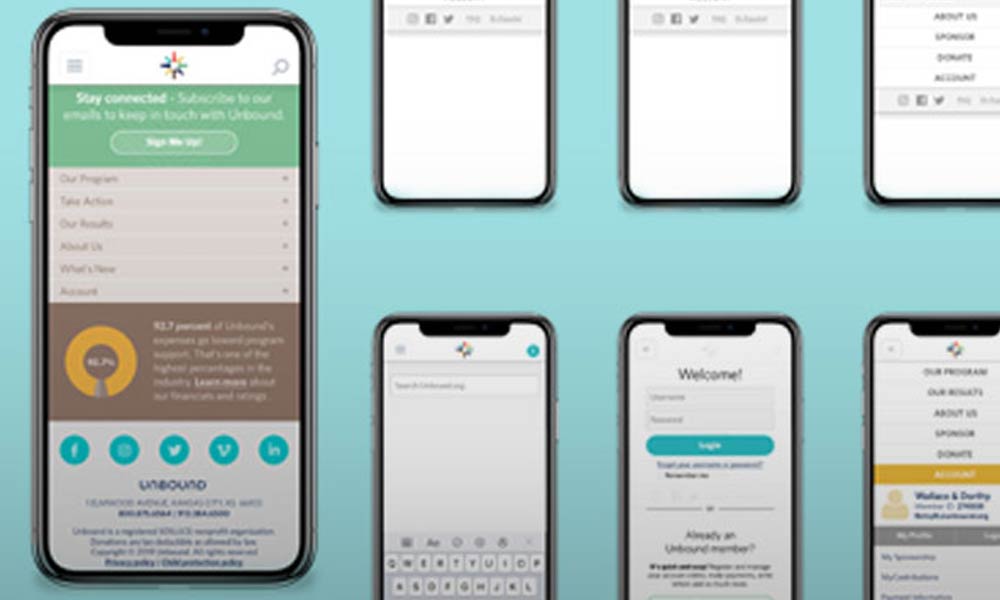 UX Strategy: Navigation + User Flow